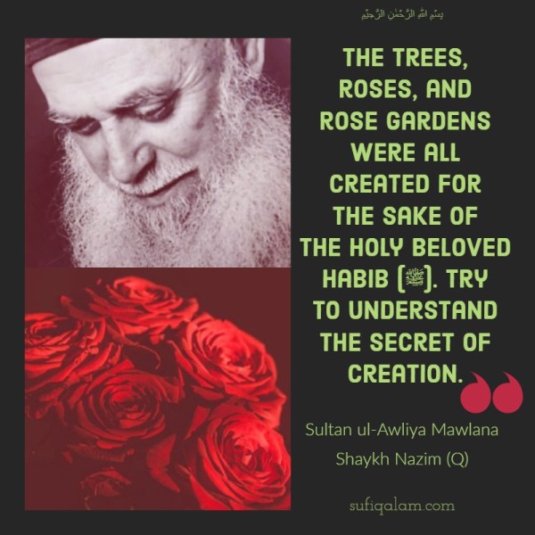 Sultan ul Awliya Mawlana Sheikh Nazim, Quotes, roses, Muharram, Sohbat