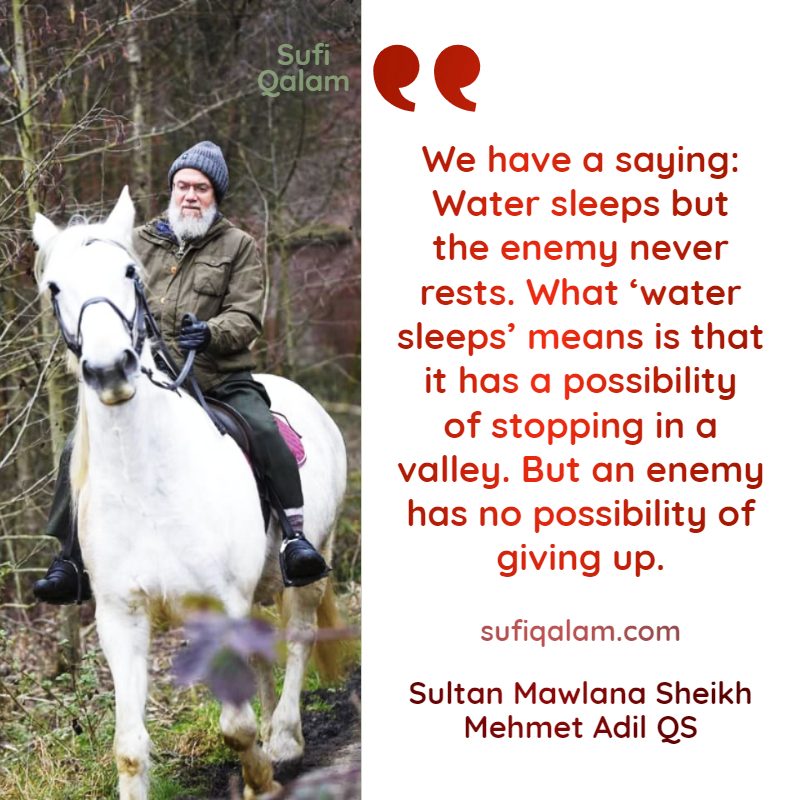Sufi-Qalam-Quotes-Mawlana-Sheikh-Mehmet