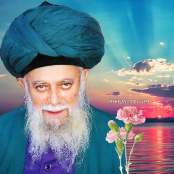 Mawlana Shaykh Nazim, Sufi Qalam, Sohbat